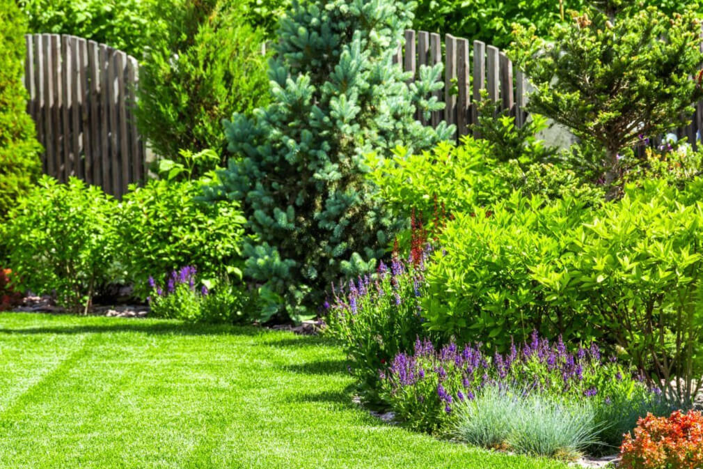 Patio Design in San Antonio