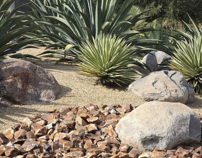 Outdoors-styles-we-love-Xeriscaping