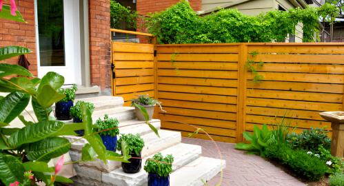 patio design in san antonio Emphasizing Privacy with Green Walls and Fencing