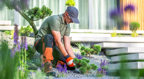 Landscaping services San Antonio