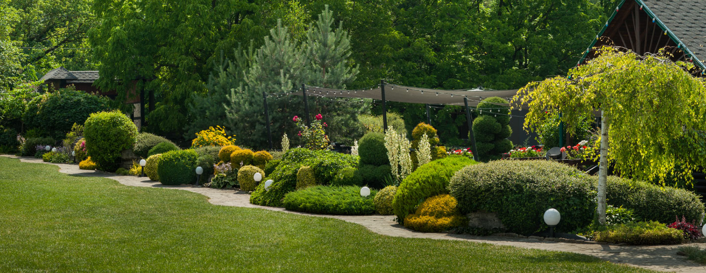 Landscaping services San Antonio